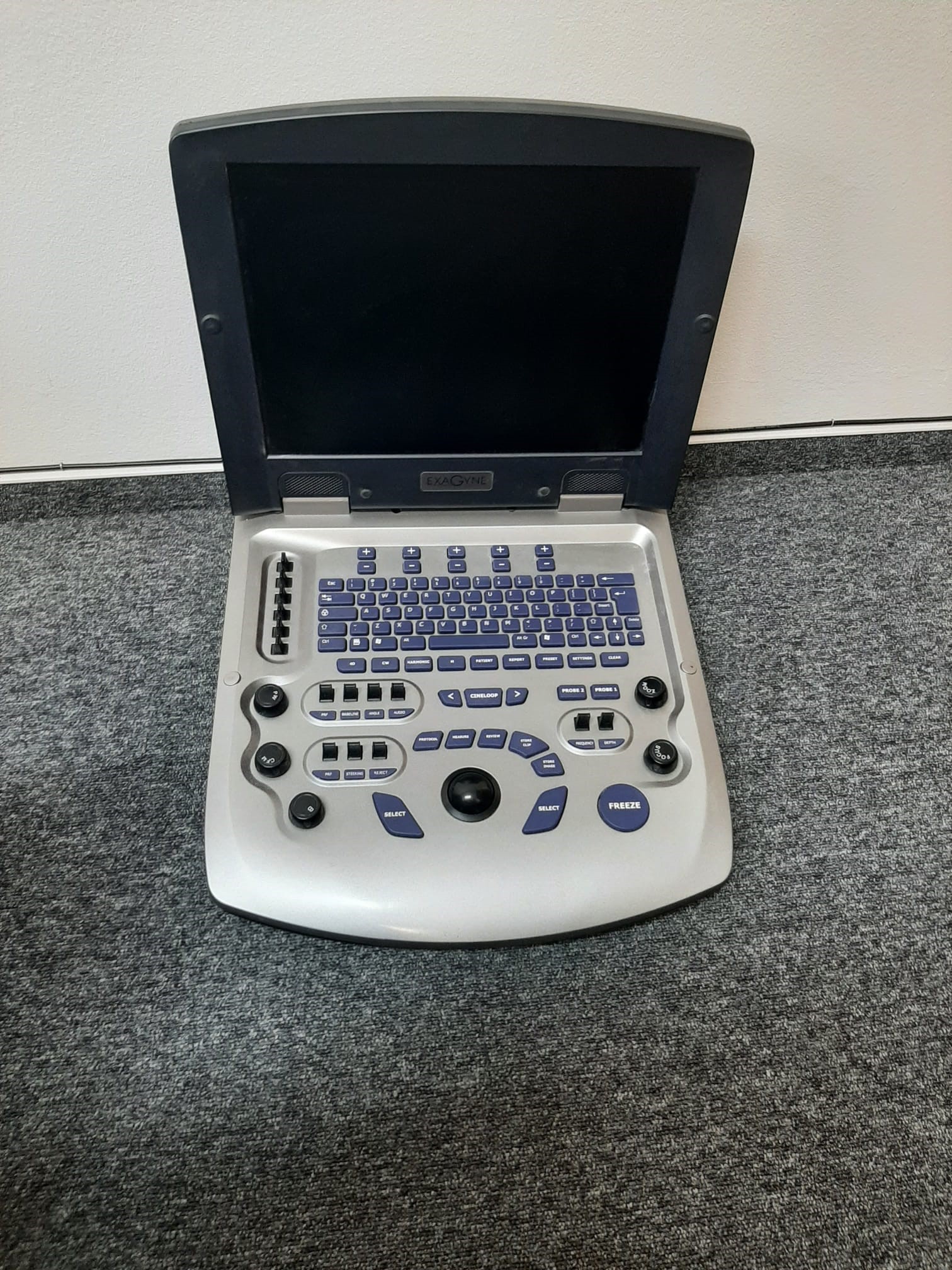 Exagyne image